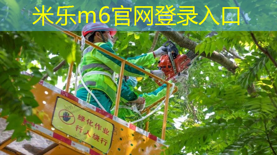 乒乓球台变得宽厚了