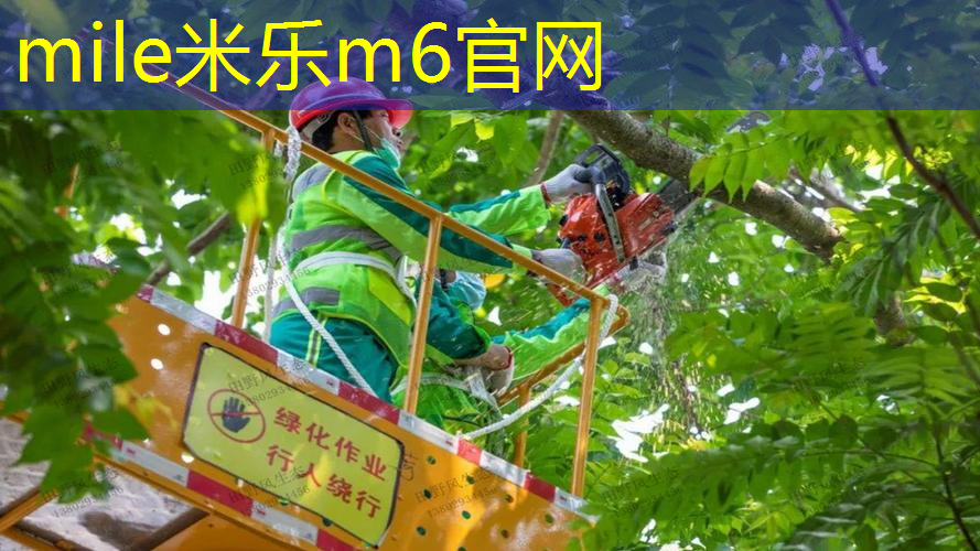 发挥创意！壁挂三式篮球架打造个性风格居家运动场地