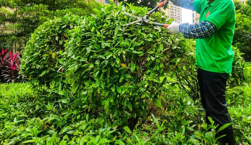 网球拍内手柄大小区别图解