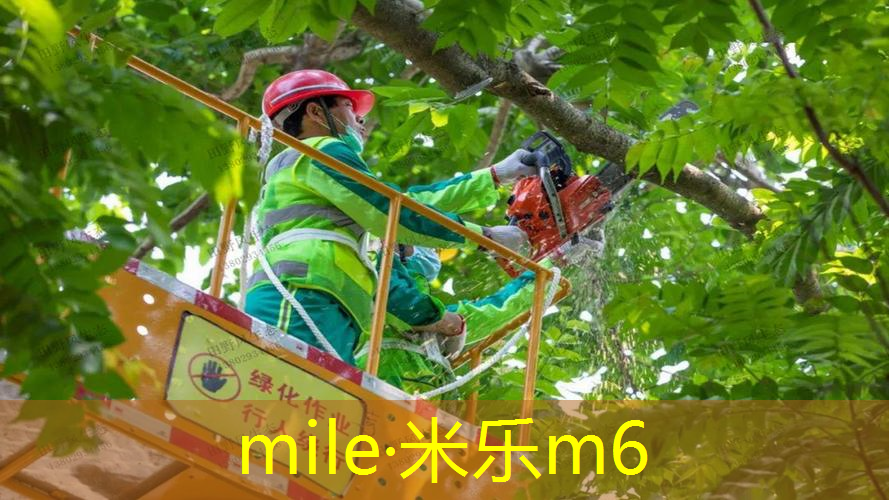 新手如何挑选合适的网球拍