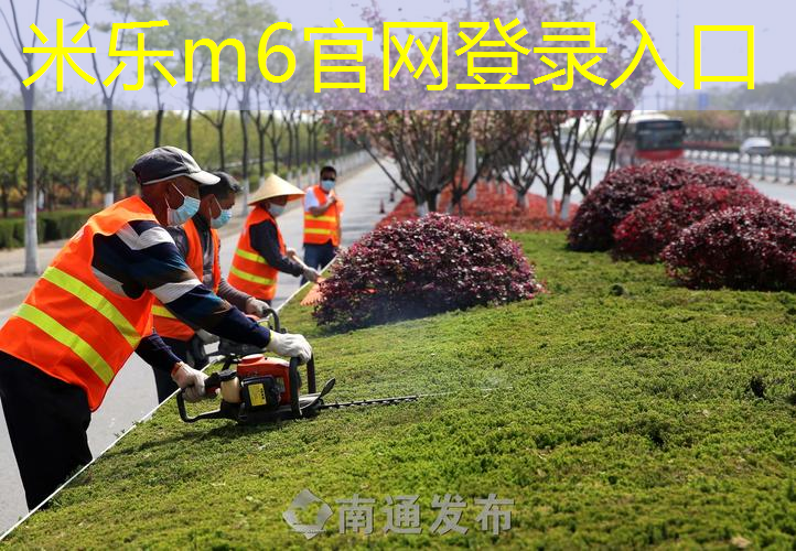 耗哪种材质的单双杠更持久耐用？揭晓事实真相！
