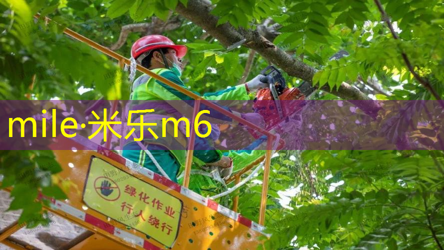 乒乓球台变得宽厚了