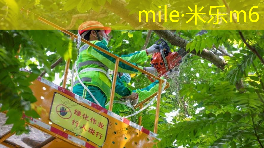 发挥创意！壁挂三式篮球架打造个性风格居家运动场地