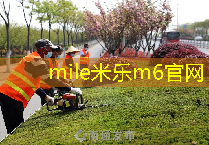 找到最佳的塑胶跑道材料供应商，打造完美的运动场地！