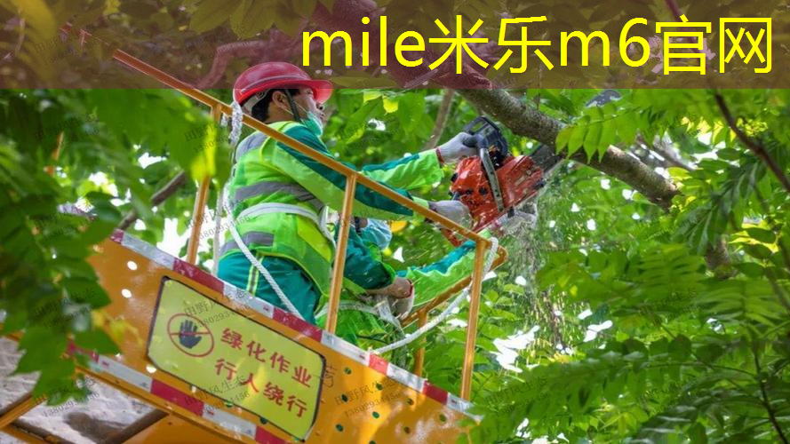 田径场爆发力无器材